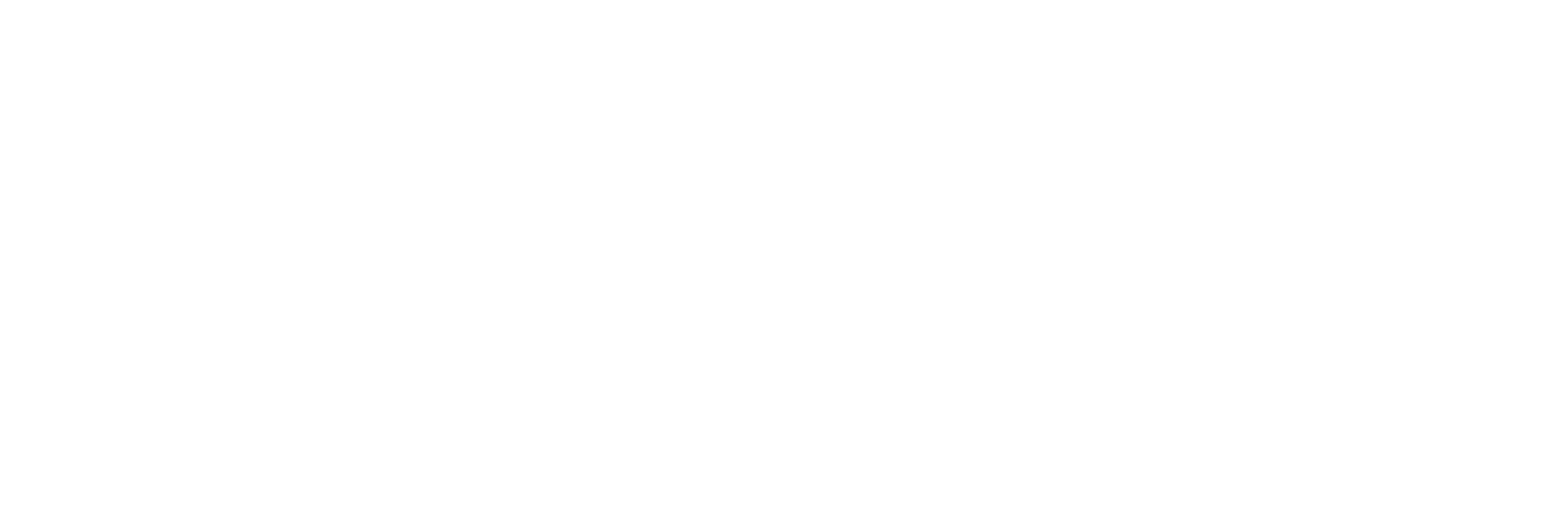 didachi logo 1000x1000 white